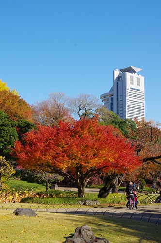 小石川後楽園