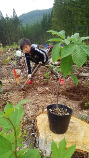 植林ツアー