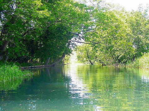 2012051359.jpg