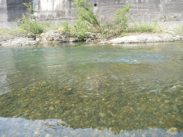 resize0010.jpg