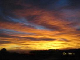 IMG_1152.JPG
