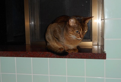 DSCN0039.JPG