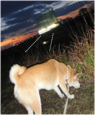 夕方4.jpg