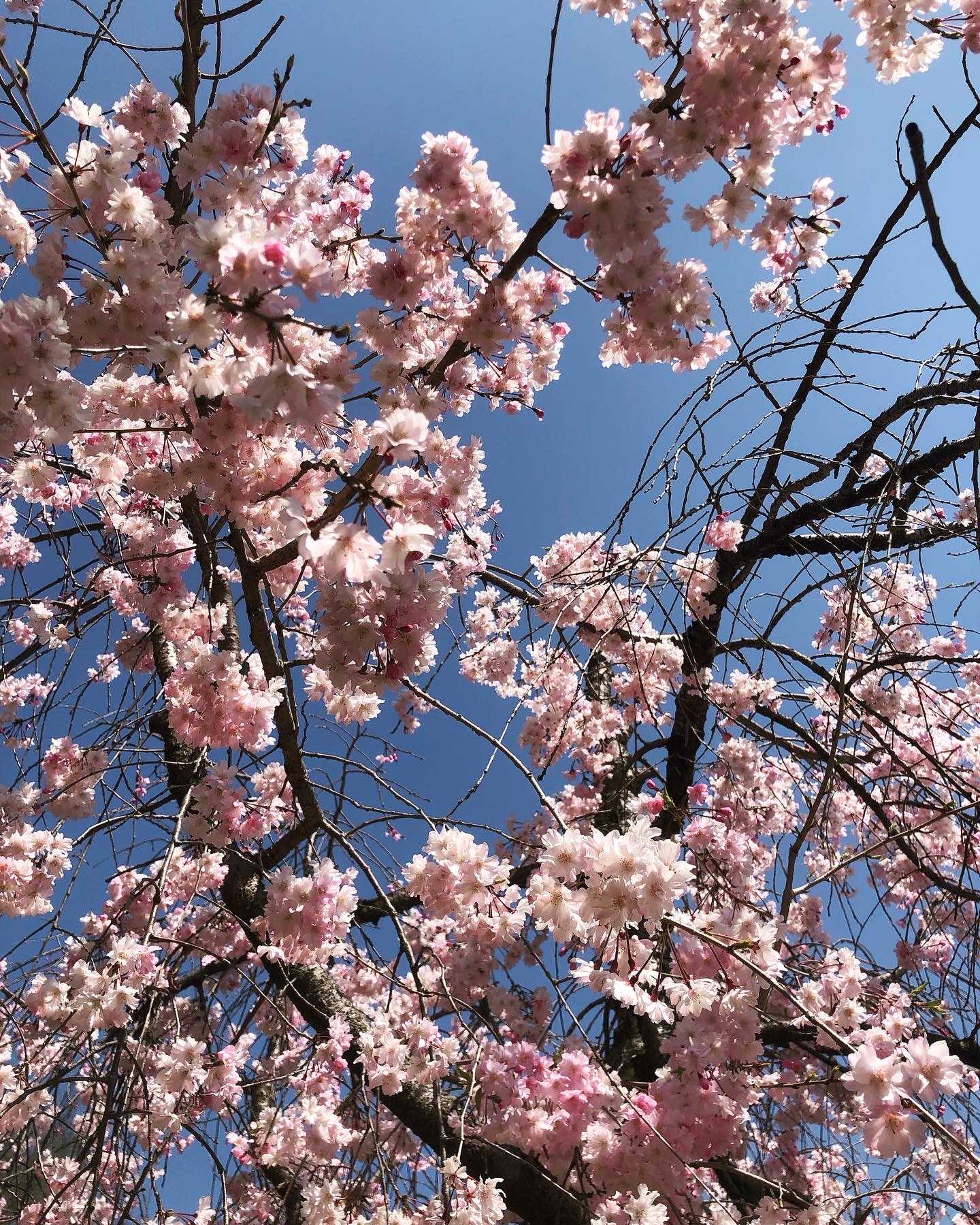 30代から始めるホステス！！