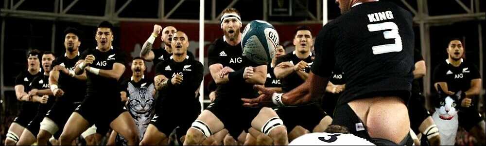 耳（ミミ）とチャッピの布団