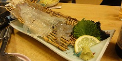 DSC04609.jpg
