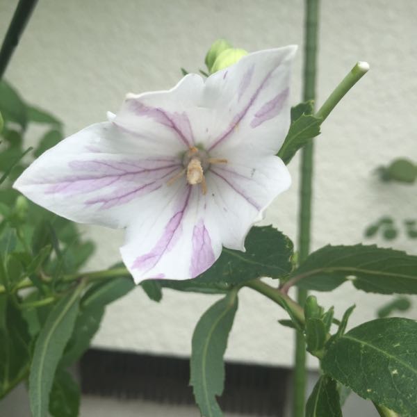 rblog-20160718234419-01.jpg