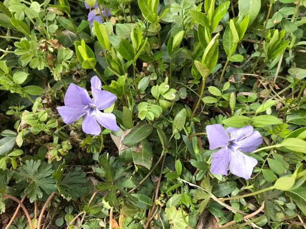 rblog-20190324174434-00.jpg