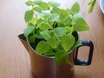 026-1.jpg