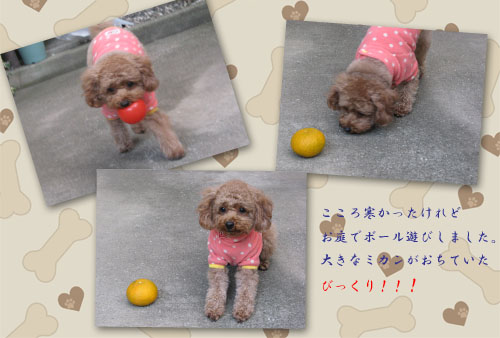 こころ１０