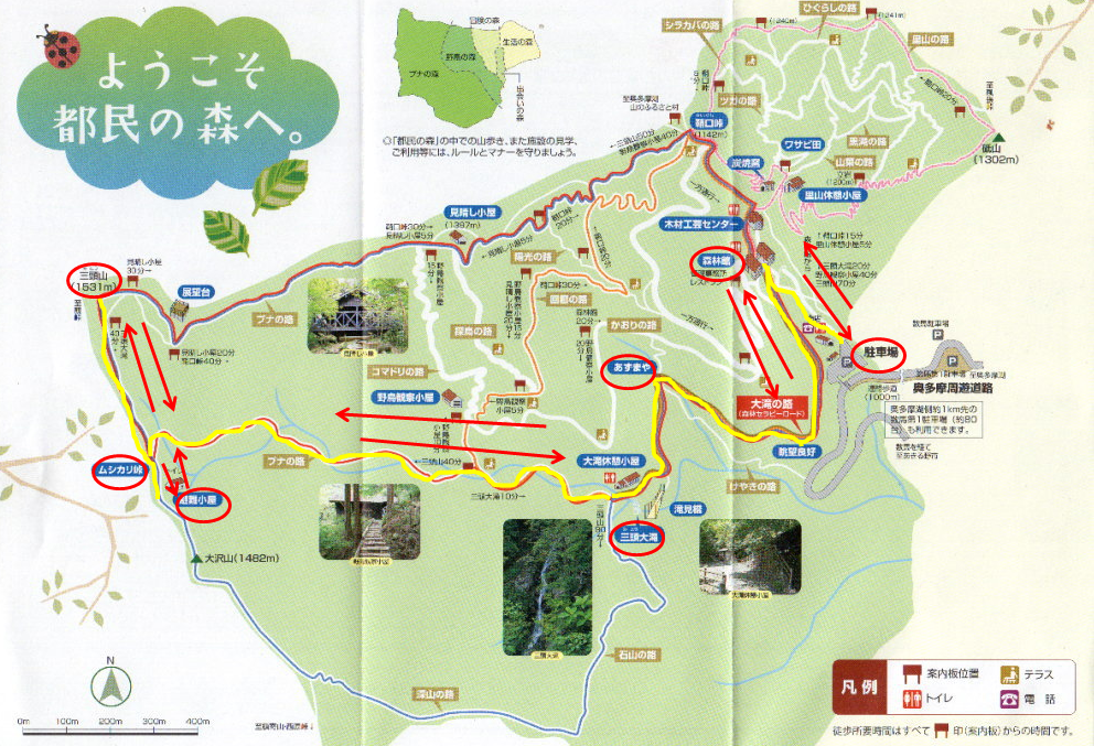 夏の三頭山ー初心者登山教室同行記ー | 山ボケ社へようこそ 山ボケ猫(野口いづみ)のブログ - 楽天ブログ