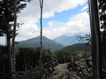 IMG_4973f.JPG