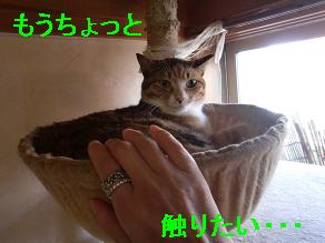 もうちょっと.JPG
