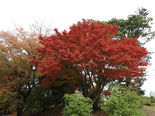 皇居東御苑