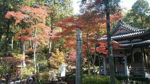 rblog-20151103184740-01.jpg