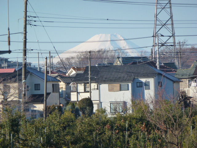 878 富士山