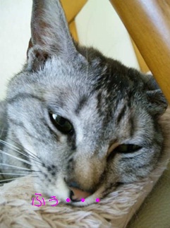 20120703_3.jpg