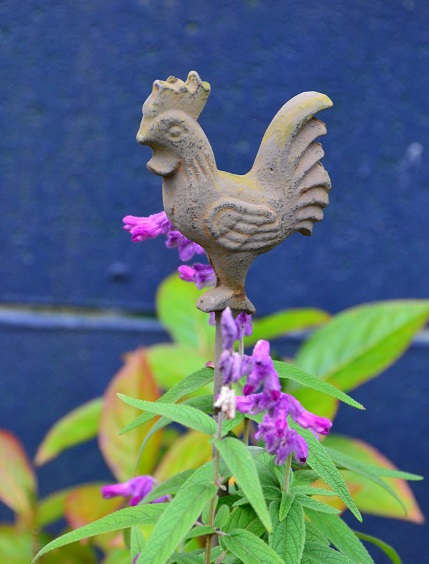 DSC_0185.JPG