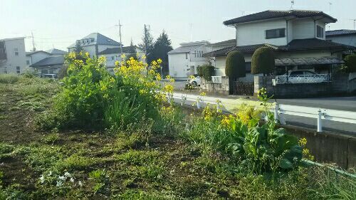 rblog-20170405223525-02.jpg