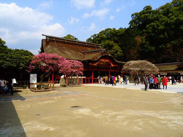 DSC03205_R.JPG