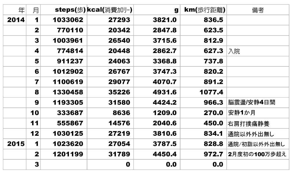 歩数記録 2015年02月 縮.jpg