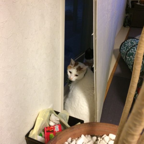 rblog-20141206063146-02.jpg