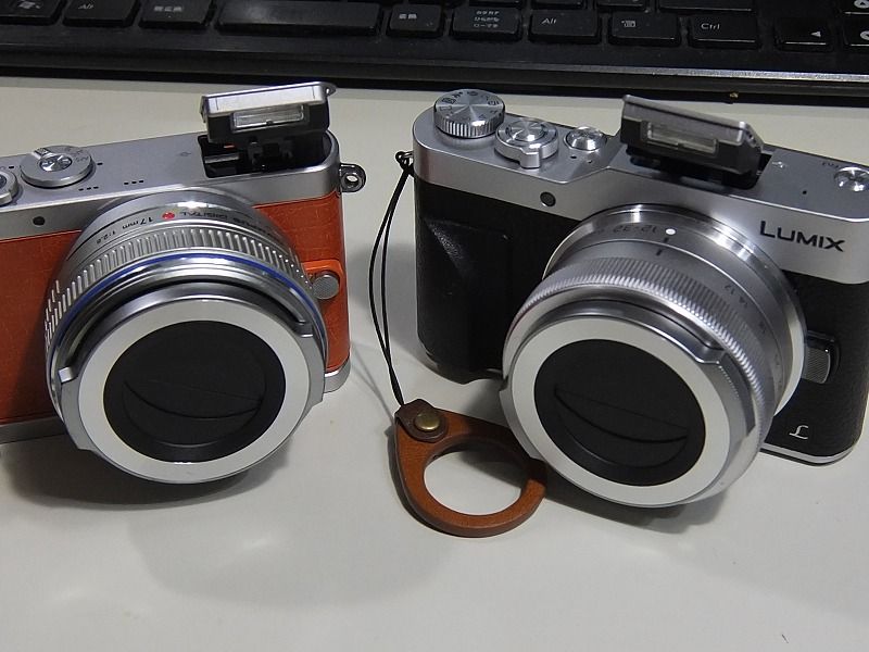 今更ですが DC-GF9 を購入しました♪ | 楽しい○○○遊び♪ - 楽天ブログ