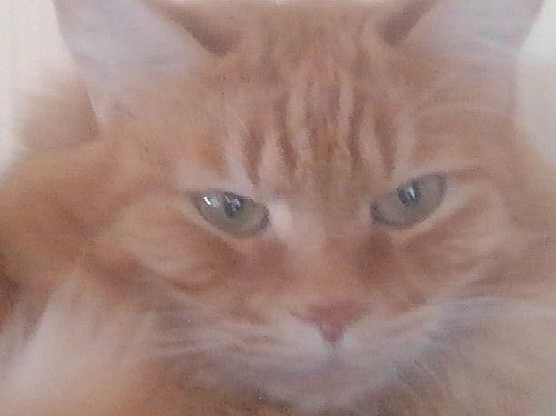 rblog-20190107093932-02.jpg