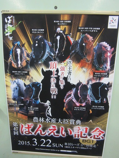 高崎競馬場17.jpg