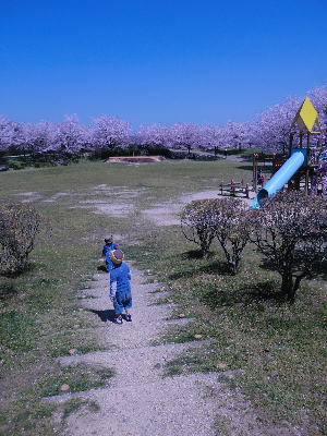 花見weekけいごんパート2-3