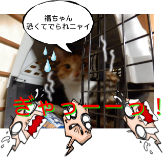 P6110046.png