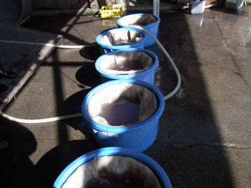 「朱」の仕込み