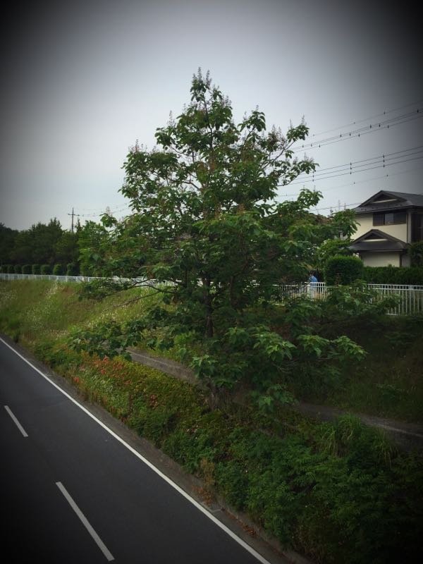 rblog-20160528225139-06.jpg