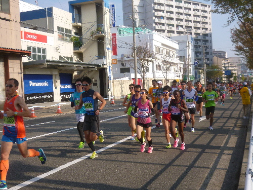 P1130959(1).JPG