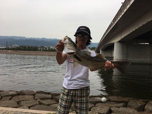 rblog-20170928231808-04.jpg