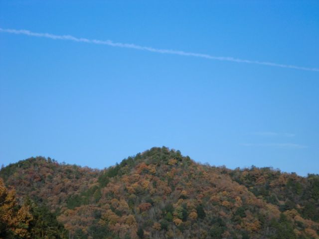 CIMG4242_R.JPG