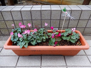 お正月飾り　鶴