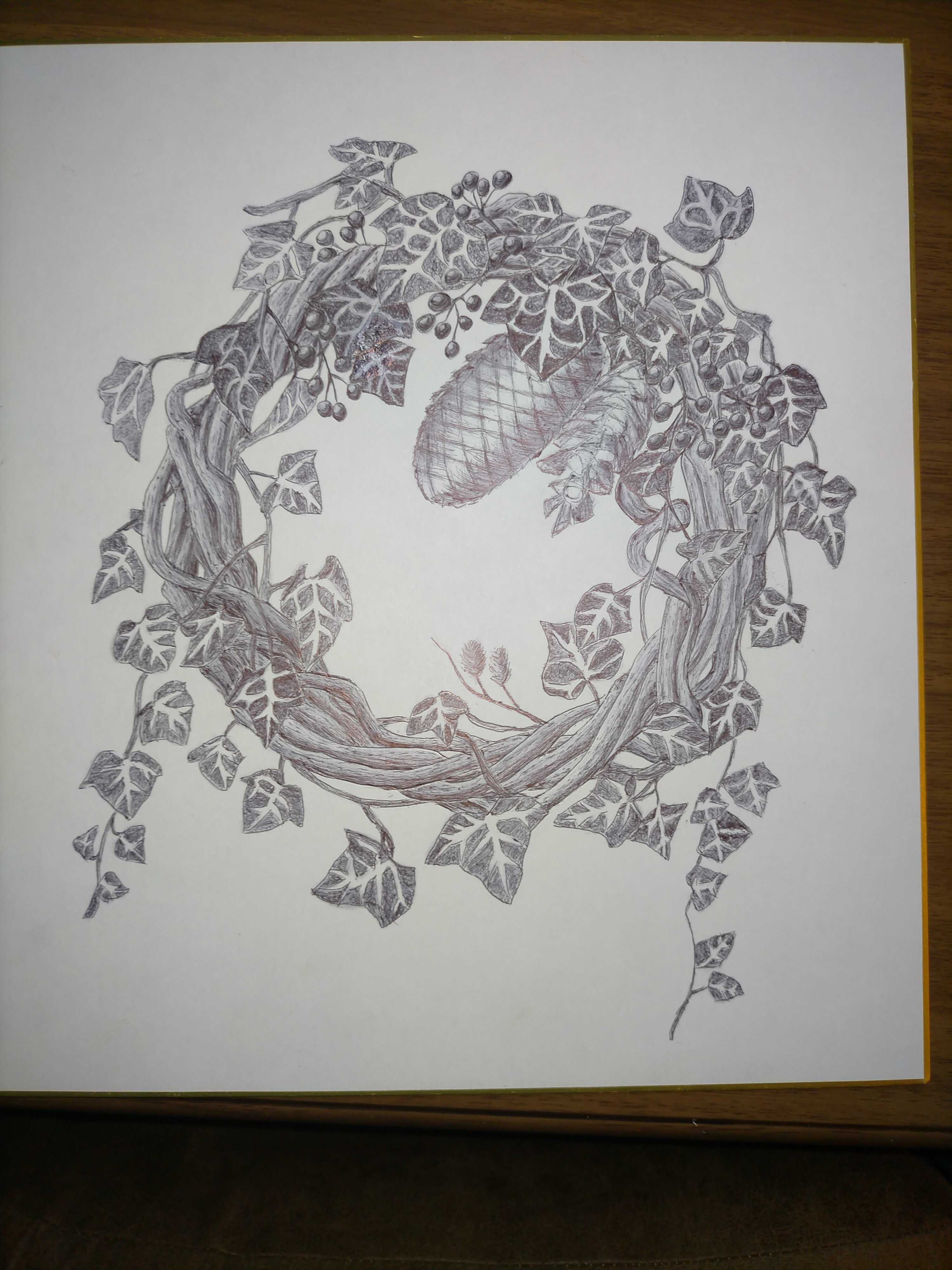 ボールペン画を描いてみました kanzo メモ 楽天ブログ