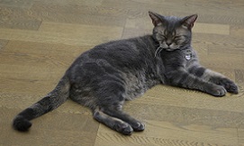 5DA_5527-31.jpg
