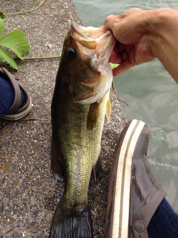 rblog-20140714150800-02.jpg