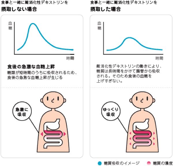 効果 デキストリン 難 性 消化
