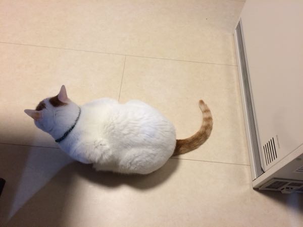 rblog-20151023062713-01.jpg