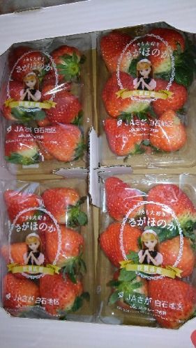 rblog-20180207130249-01.jpg