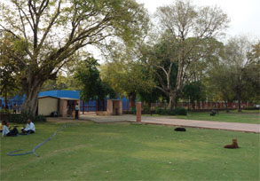 インド1023.jpg