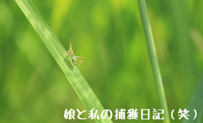 2014.8.21-02.jpg