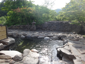桐の花54.jpg