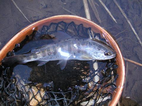 2012.04.01 008.jpg