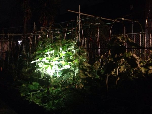 rblog-20160620211658-06.jpg