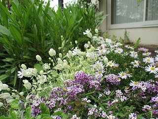IMG_0386ss.jpg