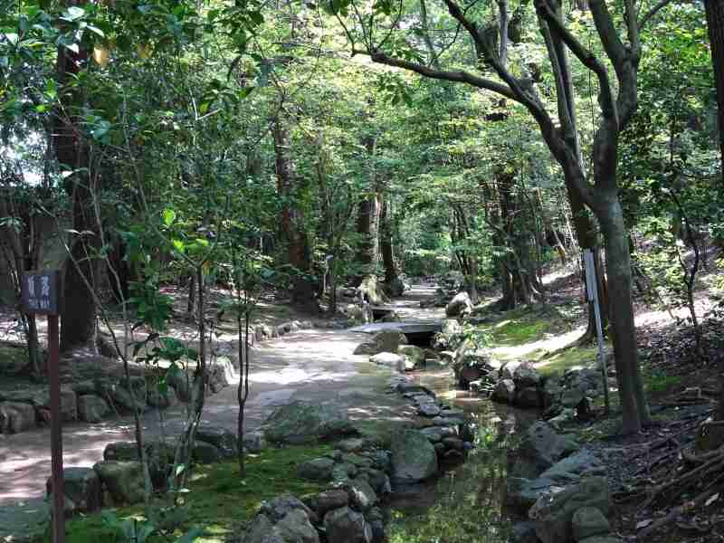 スイレンの見頃は 平安神宮 お散歩うさぎさんのブログ 京都 いろ色 楽天ブログ